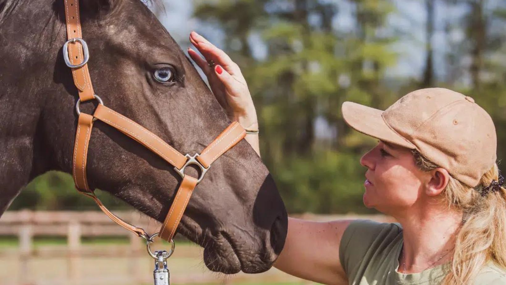 Protéger son cheval de la chaleur