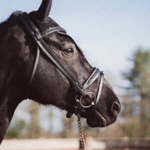 Hippolyte Braided Leather Bridle