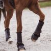 Closed Boots in Black Leather and Sheepskin black