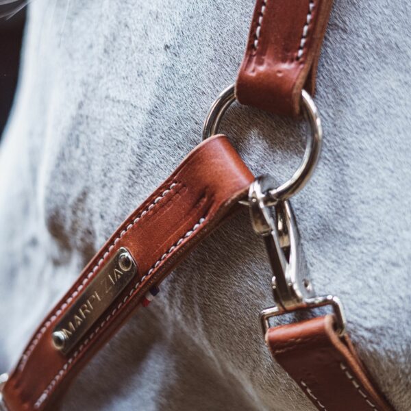 Leather halter camel asteria