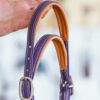 Licol en biothane violet Stravinsky poulain