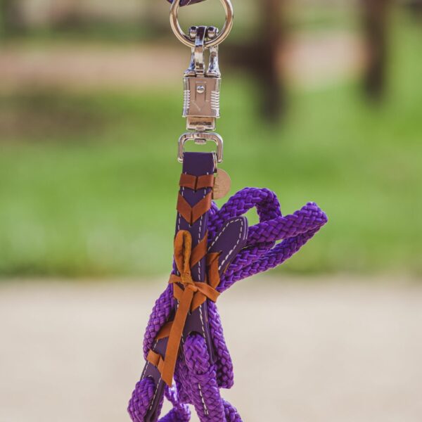 Stravinsky purple Lead rope