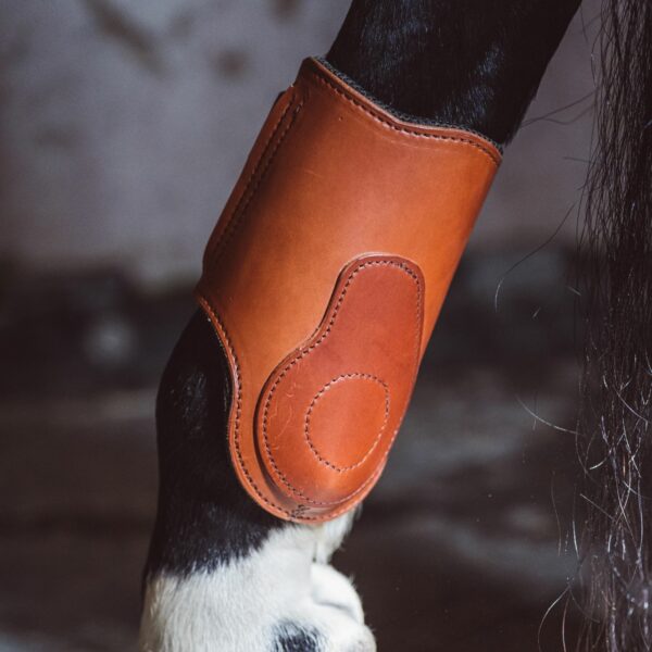 Kallie leather fetlock boots