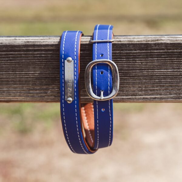 ceinture biothane bleu electrique