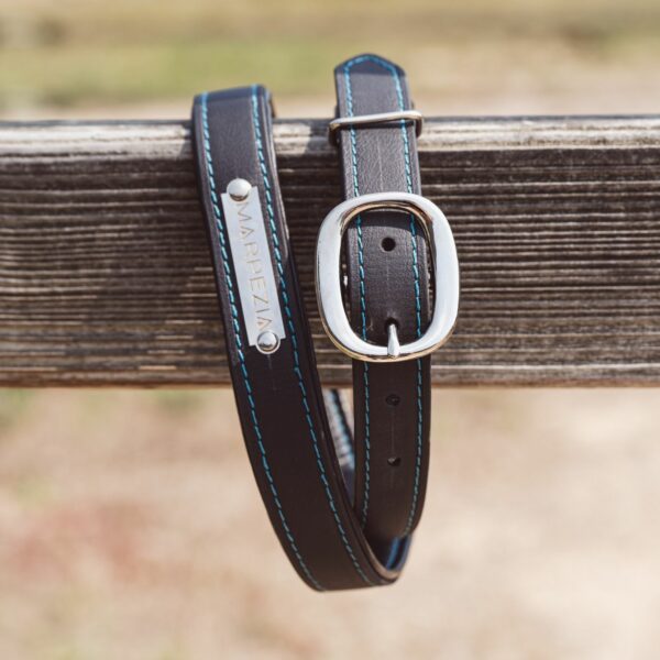 ceinture biothane noir bleu