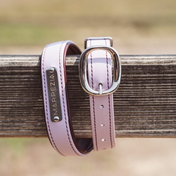 lavender and burgundy biothane belt