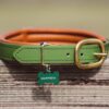 Military Green Stravinsky Biothane Collar