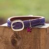 collier en biothane violet