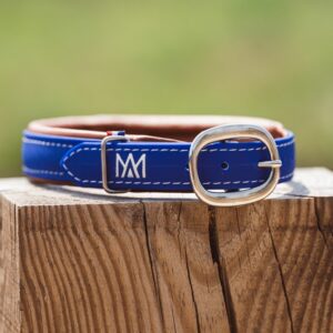 Blue Stravinsky Biothane Collar