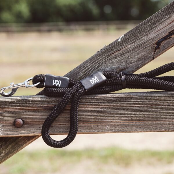 Asteria black rope leash