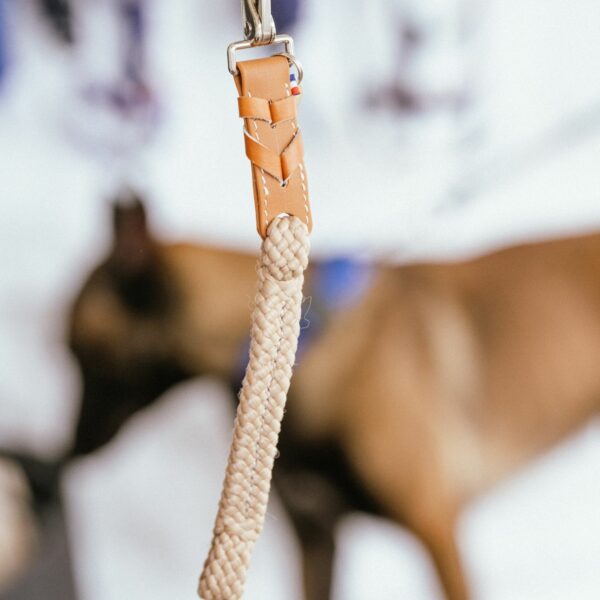 mini rope for foal