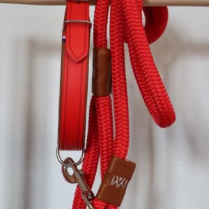 collier-et-laisse-en-biothane-et-cuir-rouge