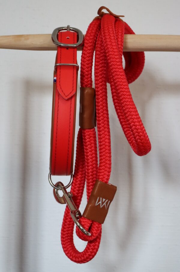 collier-et-laisse-en-biothane-et-cuir-rouge